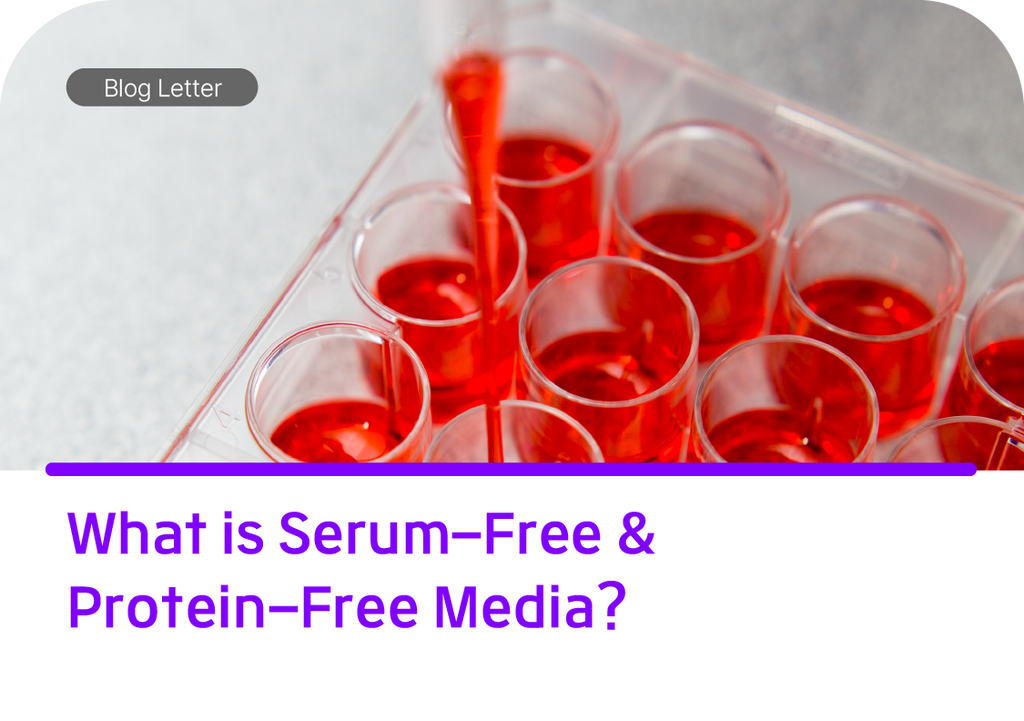 Serum Free & Protein Free culture