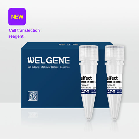 WelFect Transfection Reagent (TR006-01)
