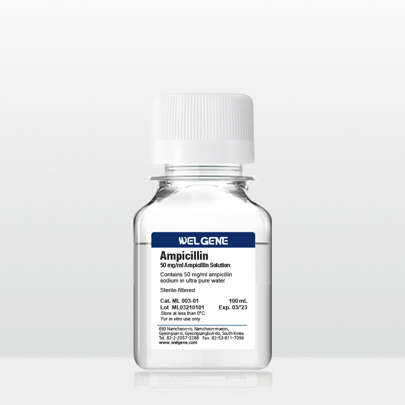 Ampicillin (50 mg/ml), (ML003-01)