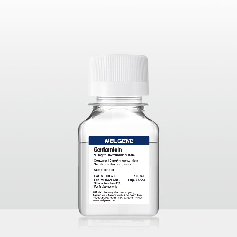 Gentamicin (10 mg/ml), (ML003-03)