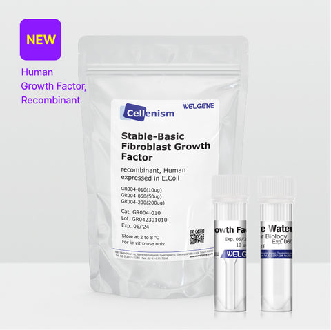 Stable-Basic Fibroblast Growth factor (GR 004)
