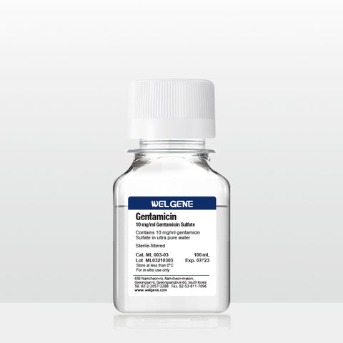 Gentamicin (10 mg/ml), (ML003-03)