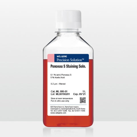 Staining Solution IV (ML080-01)