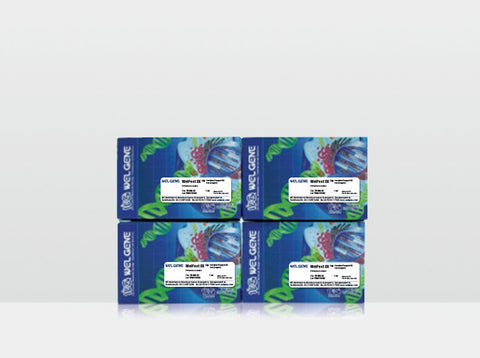 WelCount Cell Proliferation Assay Kit (TR005-01)
