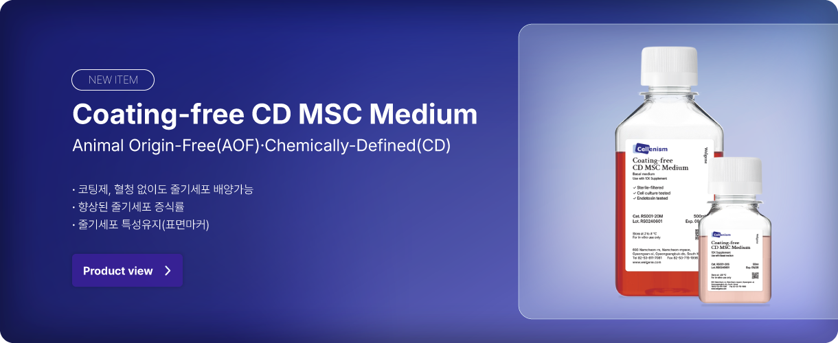 Non-coated CD MSC Medium 메인 배너