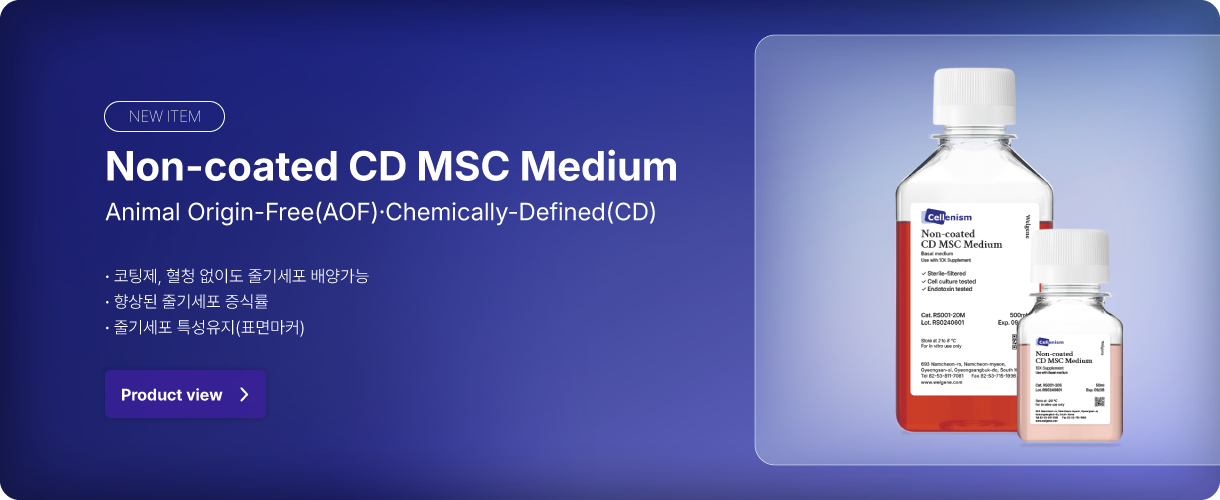 Non-coated CD MSC Medium 메인 배너