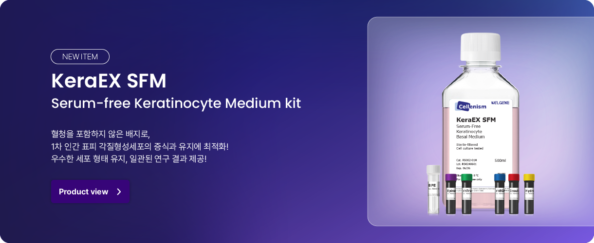 비주얼배너(PC)