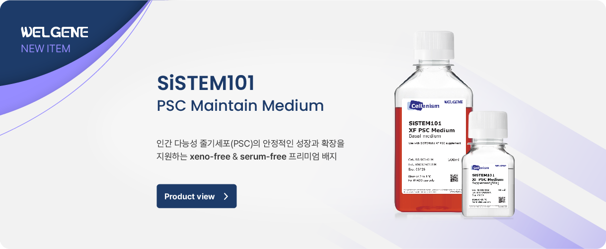 비주얼배너